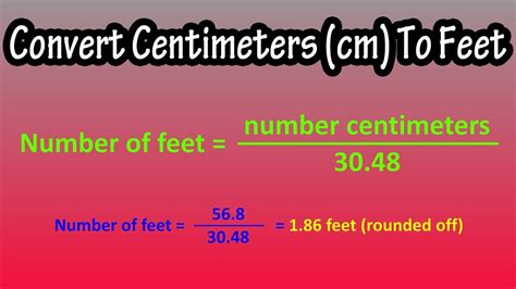 233 cm to feet